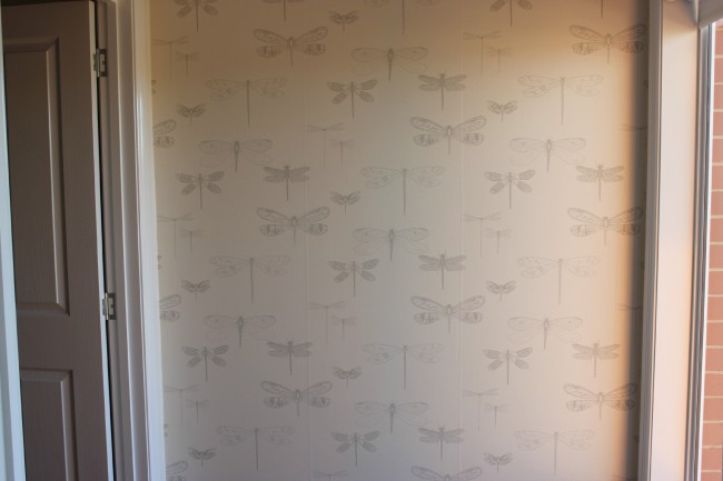 dragonflies wallpaper