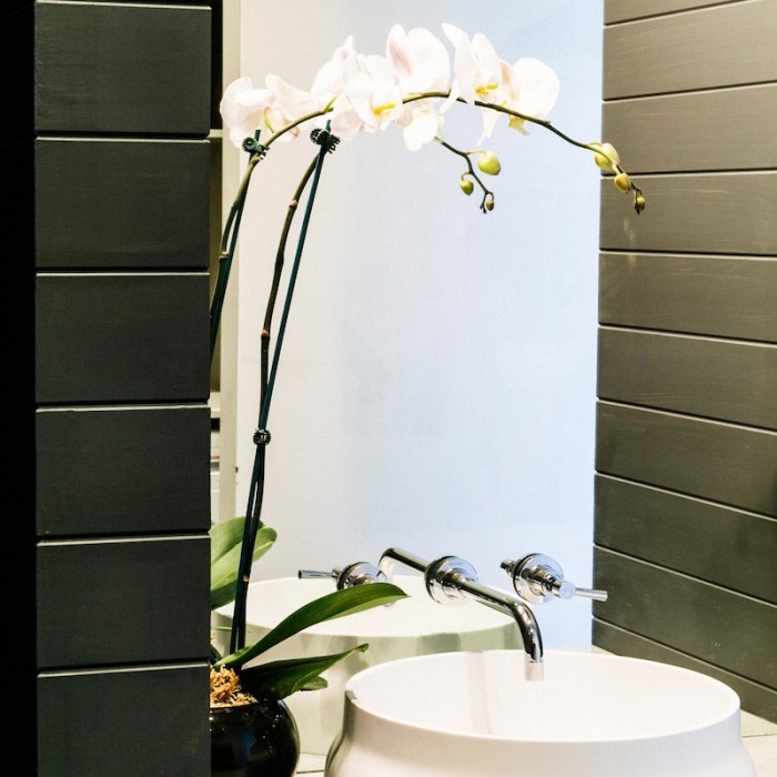 H5 Rm5 D_D Laundry WC EA 1 copy