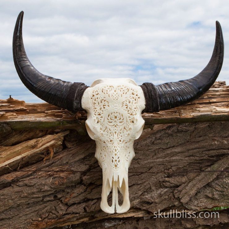 cow_skull_XL_horns_rose_-_1_rose_1_1024x1024