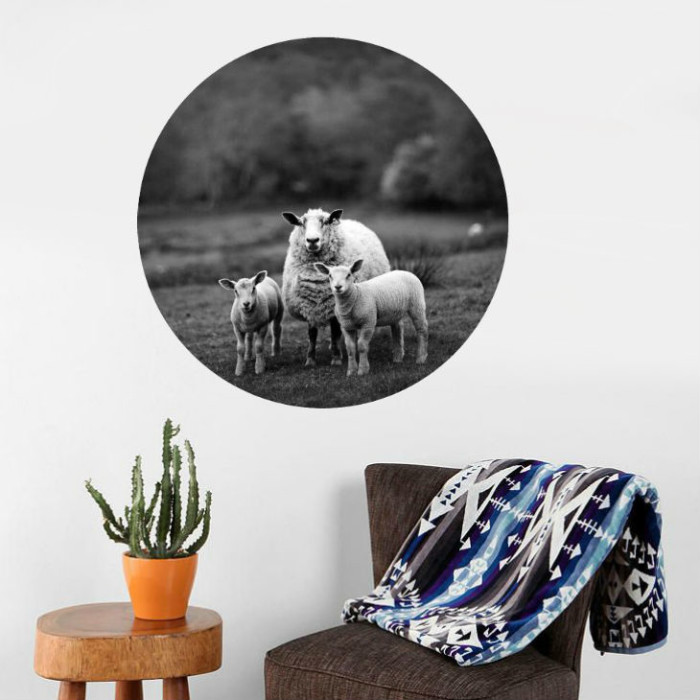 familyportrait_730x730