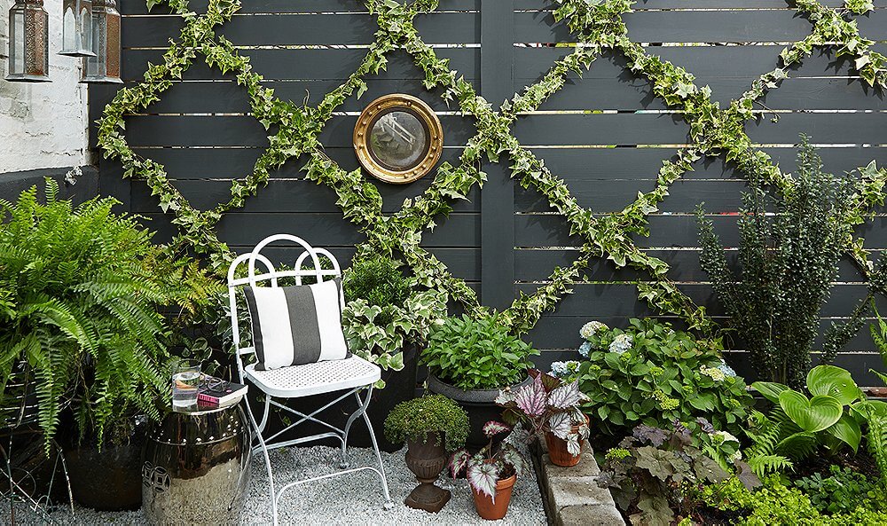 diy garden wall trellis