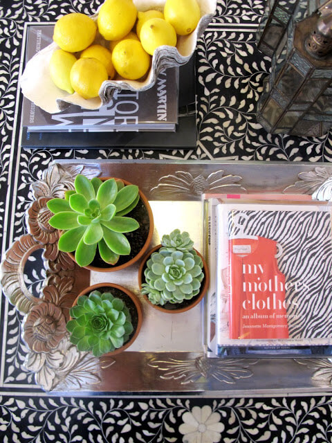 succulents coffee table