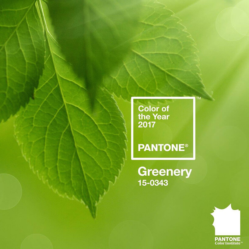 PANTONE reveals the colour of the year for 2017 – GREENERY