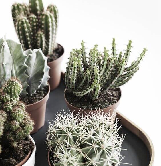 6 bad Feng Shui elements