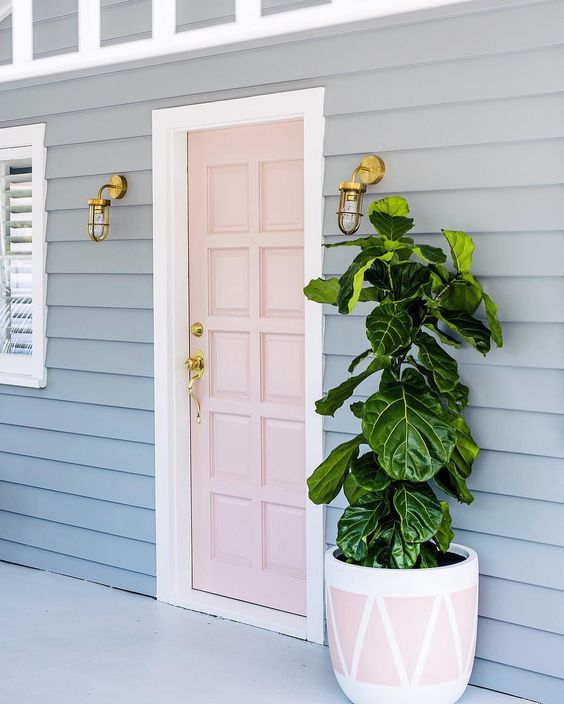 Front door deals plants