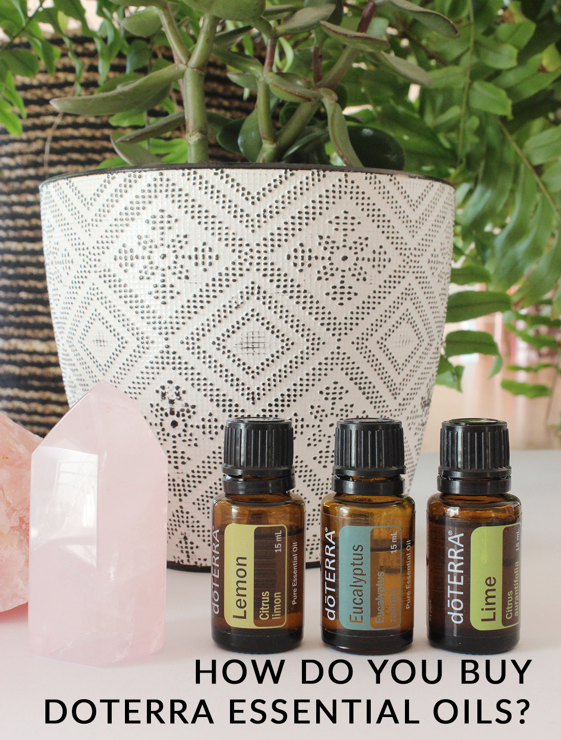 doTERRA introductory kit - Order essential oils from doTERRA online with a  25% discount