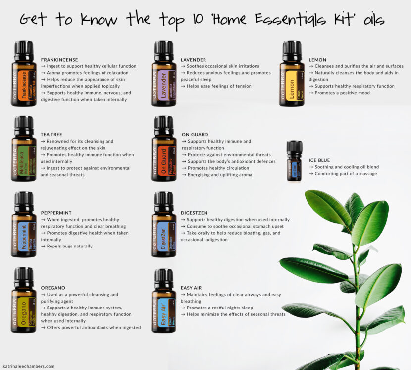 Get To Know The Top 10 Essential Oils