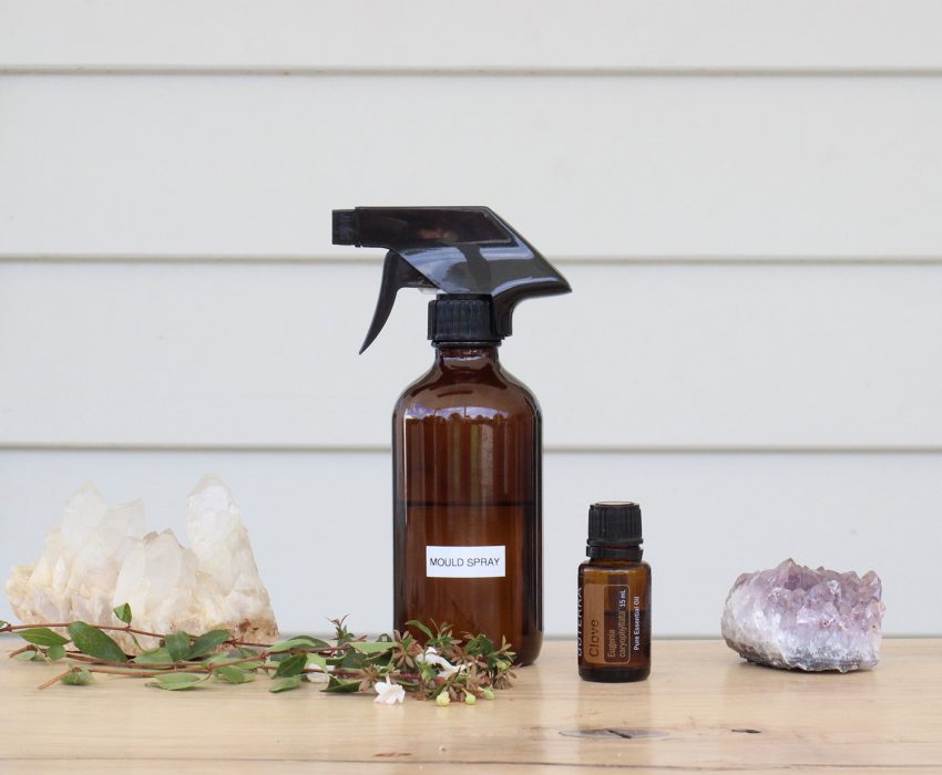 DIY Mold Spray with Essential Oils - Easy and Non-Toxic - The Artisan Life