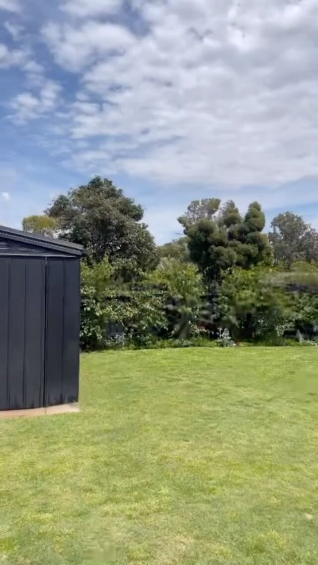 Renovating isn’t just about bathrooms, kitchens, paint, and new floors... it also includes backyards, sheds, and fences.

The “before” video (sorry for the quality!) almost made me cry. It was taken on the day I moved in, right after my marriage separation. Despite what people thought, I threw myself into major renovations as my way of coping. 

Now, it looks so much better, and I feel a huge sense of achievement 💪🏻.